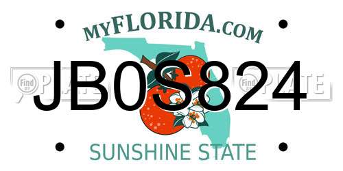 JB0S824 Florida License Plate