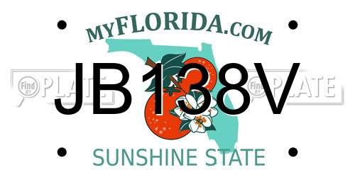 JB138V Florida License Plate
