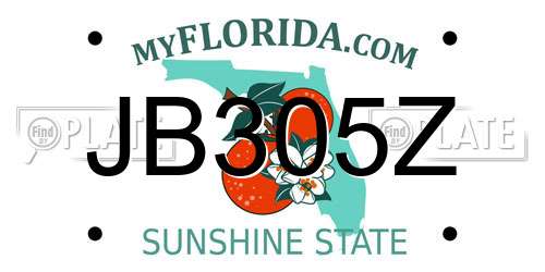 JB305Z Florida License Plate