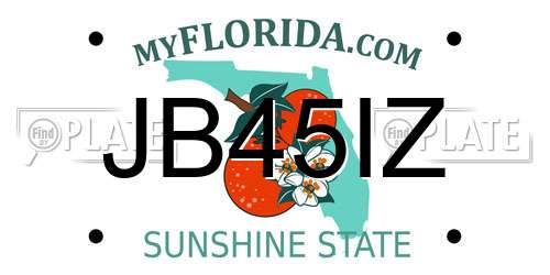 JB45IZ Florida License Plate