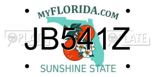 JB541Z Florida License Plate