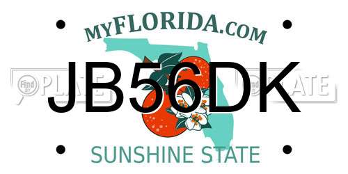 JB56DK Florida License Plate