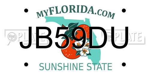 JB59DU Florida License Plate