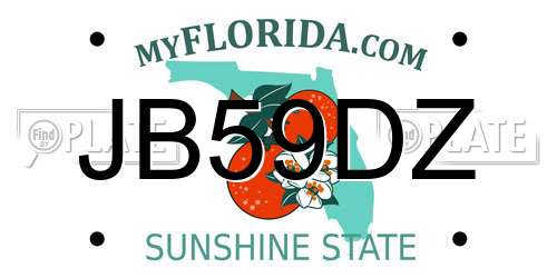 JB59DZ Florida License Plate