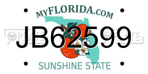 JB62599 Florida License Plate