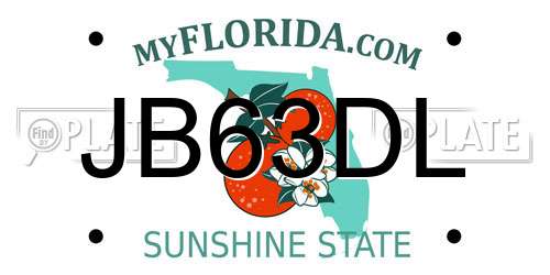 JB63DL Florida License Plate
