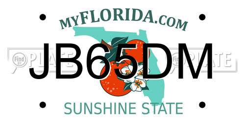 JB65DM Florida License Plate