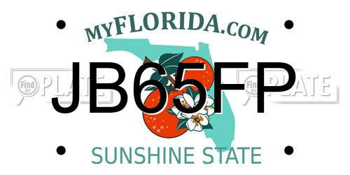 JB65FP Florida License Plate