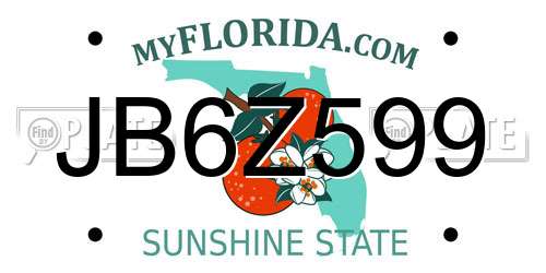 JB6Z599 Florida License Plate