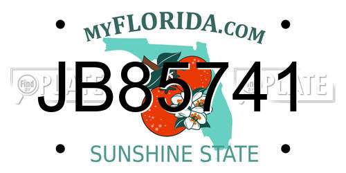 JB85741 Florida License Plate