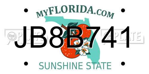 JB8B741 Florida License Plate