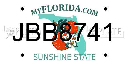 JBB8741 Florida License Plate