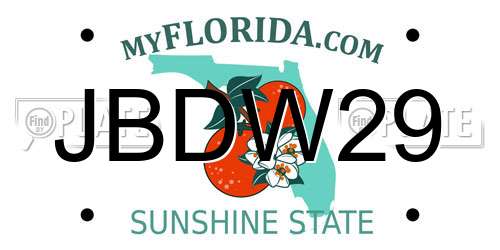 JBDW29 Florida License Plate