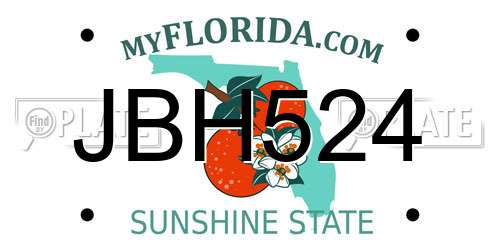 JBH524 Florida License Plate