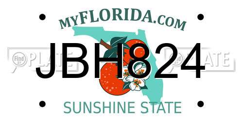 JBH824 Florida License Plate