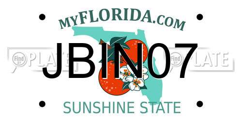 JBIN07 Florida License Plate
