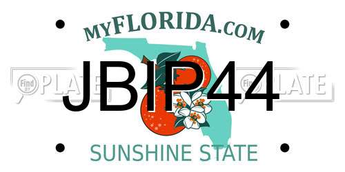 JBIP44 Florida License Plate