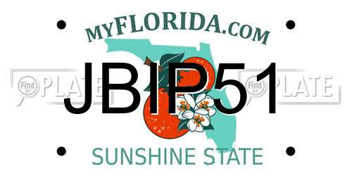 JBIP51 Florida License Plate