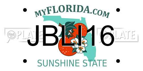 JBLI16 Florida License Plate