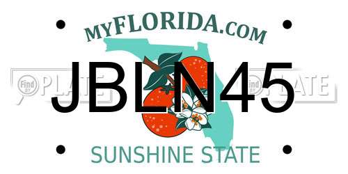 JBLN45 Florida License Plate