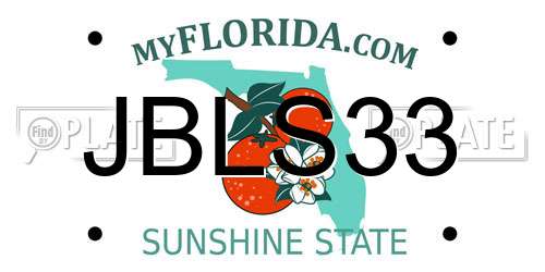JBLS33 Florida License Plate