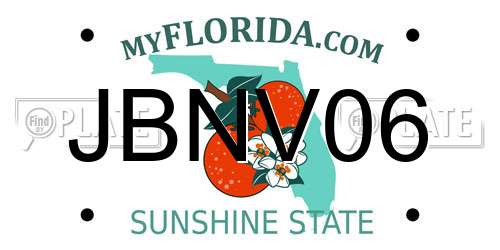 JBNV06 Florida License Plate