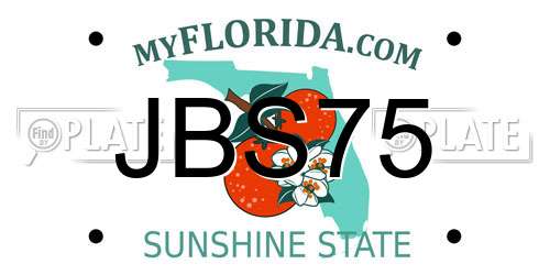 JBS75 Florida License Plate