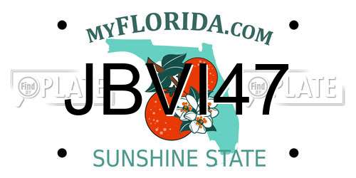 JBVI47 Florida License Plate