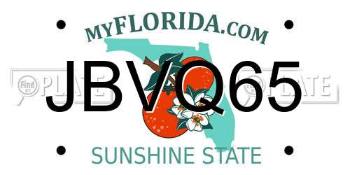 JBVQ65 Florida License Plate