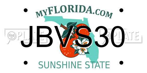 JBVS30 Florida License Plate