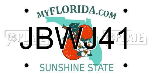 JBWJ41 Florida License Plate