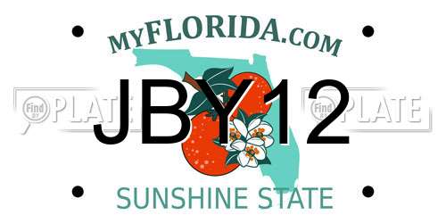 JBY12 Florida License Plate