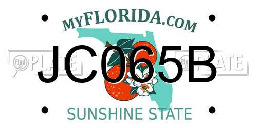 JC065B Florida License Plate