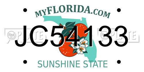 JC54133 Florida License Plate