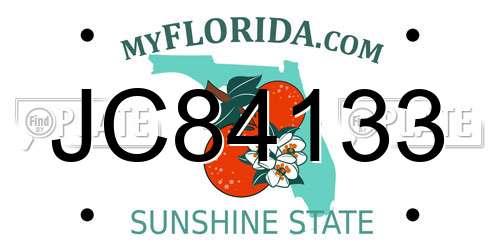 JC84133 Florida License Plate