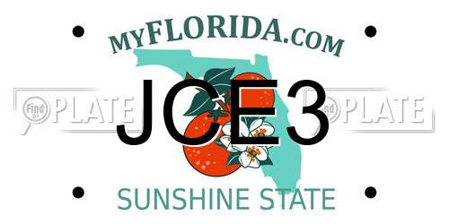 JCE3 Florida License Plate