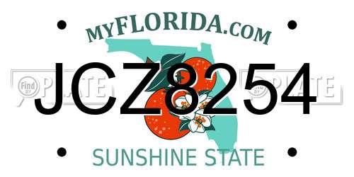 JCZ8254 Florida License Plate