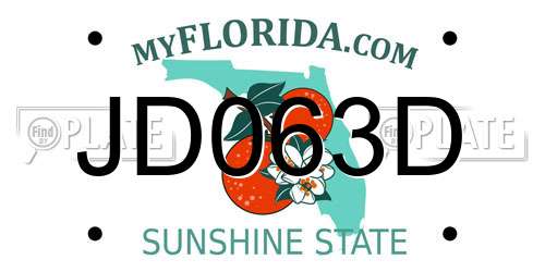 JD063D Florida License Plate