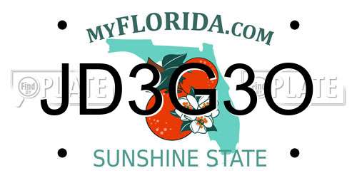 JD3G3O Florida License Plate