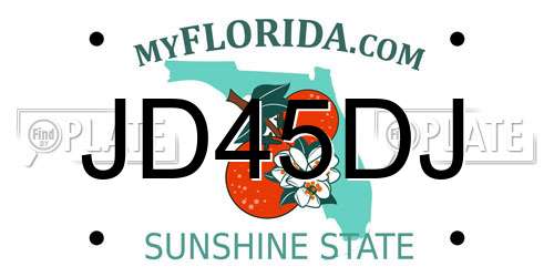 JD45DJ Florida License Plate