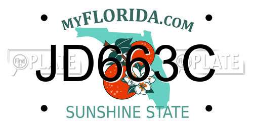 JD663C Florida License Plate