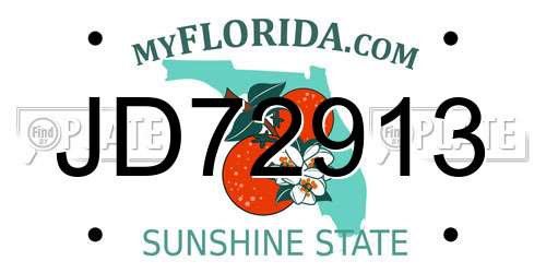 JD72913 Florida License Plate