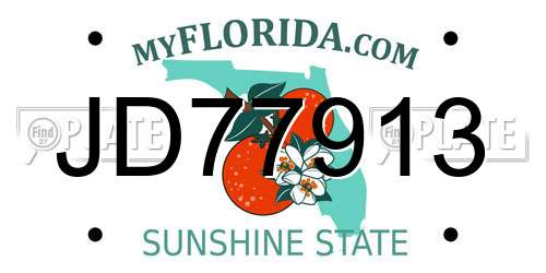 JD77913 Florida License Plate