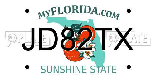 JD82TX Florida License Plate