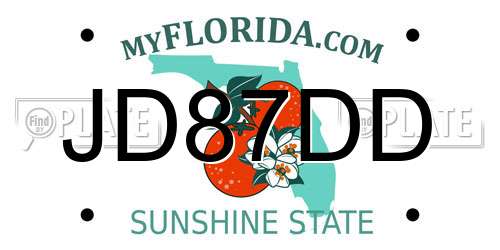 JD87DD Florida License Plate