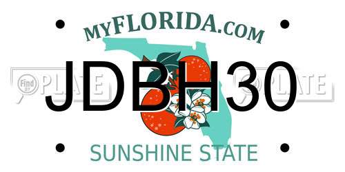 JDBH30 Florida License Plate