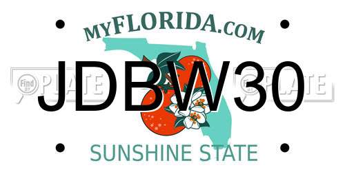 JDBW30 Florida License Plate