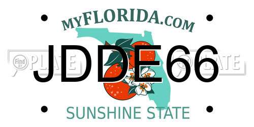 JDDE66 Florida License Plate