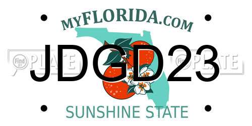 JDGD23 Florida License Plate