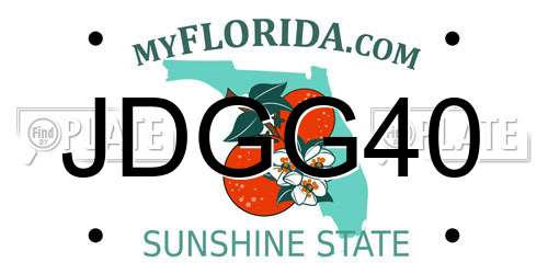 JDGG40 Florida License Plate